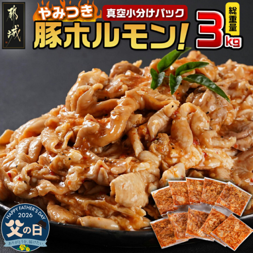 【父の日】やみつき豚ホルモン!3kg!真空小分けパック!≪6月18日～21日お届け≫_LG8-3303-FG 2509635 - 宮崎県都城市