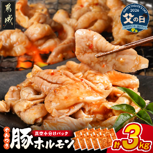 【父の日】やみつき豚ホルモン!3kg!真空小分けパック!≪6月18日～21日お届け≫_LG8-3303-FG 2509635 - 宮崎県都城市
