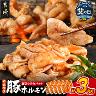 【父の日】やみつき豚ホルモン!3kg!真空小分けパック!≪6月18日～21日お届け≫_LG8-3303-FG