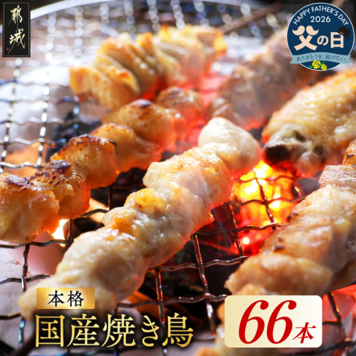 【父の日】職人串打ちの本格焼き鳥66本!!≪6月18日～21日お届け≫_MJE-33-014-66-FG 2509636 - 宮崎県都城市