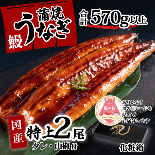 【母の日】【化粧箱】特上 国産うなぎ 蒲焼 2尾セット 【合計570g以上】 タレ・山椒付 ウナギ 鰻 うな重 ひつまぶし 人気 茨城 八千代町 ふるさと納税 冷凍 ギフト 化粧箱 母の日 2509688 - 茨城県八千代町