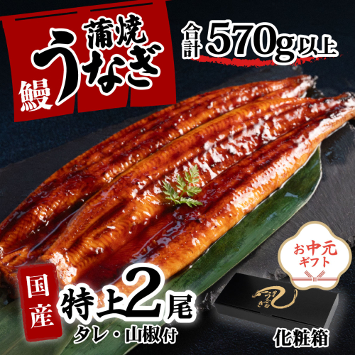 【お中元】【化粧箱】特上 国産うなぎ 蒲焼 2尾セット 【合計570g以上】 タレ・山椒付 ウナギ 鰻 うな重 ひつまぶし 人気 茨城 八千代町 ふるさと納税 冷凍 ギフト 化粧箱 お中元 中元 熨斗 2509690 - 茨城県八千代町