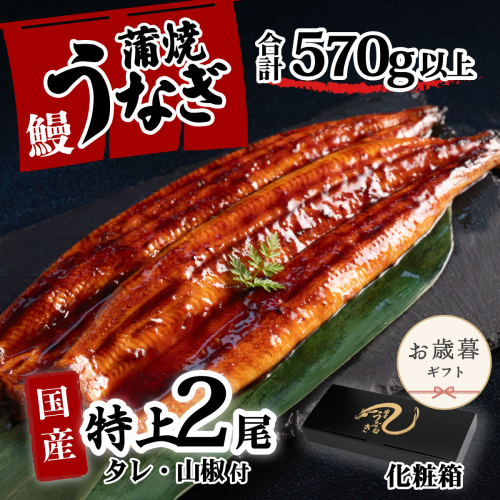 【お歳暮】【化粧箱】特上 国産うなぎ 蒲焼 2尾セット 【合計570g以上】 タレ・山椒付 ウナギ 鰻 うな重 ひつまぶし 人気 茨城 八千代町 ふるさと納税 冷凍 ギフト 化粧箱 お歳暮 歳暮 熨斗 2509691 - 茨城県八千代町
