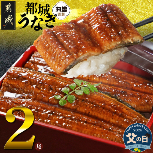 【父の日】宮崎県育ちのうなぎ蒲焼2尾300g以上≪山椒・たれ付≫≪6月18日～21日お届け≫_13-M301-FG 2509724 - 宮崎県都城市