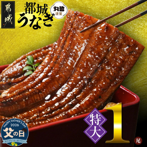 【父の日】宮崎県育ちの【特大】うなぎ蒲焼1尾210g以上≪山椒・たれ付≫≪6月18日～21日お届け≫_11-M301-FG 2509727 - 宮崎県都城市