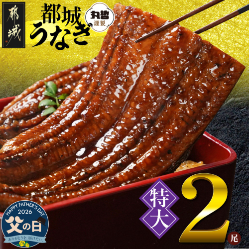 【父の日】宮崎県育ちの【特大】うなぎ蒲焼2尾440g以上≪山椒・たれ付≫≪6月18日～21日お届け≫_18-M301-FG 2509728 - 宮崎県都城市