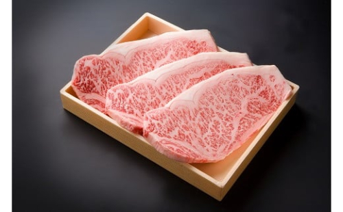 豊後牛 サーロインステーキ 合計600g 200g×3枚 4等級以上 ステーキ ブランド牛 お肉 肉 国産 九州産 大分県産 冷凍 送料無料