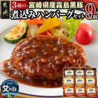 【父の日】霧島黒豚 3種の煮込みハンバーグギフト (デミグラスソース仕立て・和風おろしソース仕立て・大人の照焼きソース仕立て)≪6月18日～21日お届け≫_AA-2804-FG