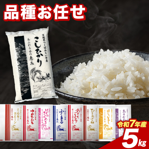 【2月下期出荷】品種おまかせ 5kg 茨城県つくばみらい市産 精米 こしひかり コシヒカリ あきたこまち ひとめぼれ ふくまる ゆめひたち ミルキークイーン にじのきらめき 米 コメ こめ 単一米 限定 茨城県産 国産 美味しい お米 おこめ おコメ [CL247-NT] 2509883 - 茨城県つくばみらい市