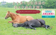 【返礼品無し】より多くの引退馬の幸せな余生を願う　Yogiboヴェルサイユリゾートファーム（10万円コース）【ふるさと納税 人気 おすすめ ランキング 馬 競馬 競走馬 引退馬 高齢馬 養老牧場 北海道 平取町 送料無料】BRTV024-05