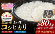 【8か月定期便 コシヒカリ】 令和7年産 新潟県 魚沼産コシヒカリ「おぢや米」合計80kg(5kg×2袋×毎月お届け全8回) JA魚沼  | 新潟産コシヒカリ 特A評価 魚沼産 新潟県産コシヒカリ 新潟県産こしひかり 魚沼コシヒカリ お米 米 こしひかり 白米 精米 ブランド米 特A評価地区【0002-JA19DB00-02】
