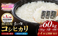【4か月定期便 コシヒカリ】 令和7年産 新潟県 魚沼産コシヒカリ「おぢや米」合計60kg(5kg×3袋×毎月お届け全4回) JA魚沼 | 新潟産コシヒカリ 特A評価 魚沼産 新潟県産コシヒカリ 新潟県産こしひかり 魚沼コシヒカリ お米 米 こしひかり 白米 精米 ブランド米 特A評価地区【0002-JA22DB00-02】