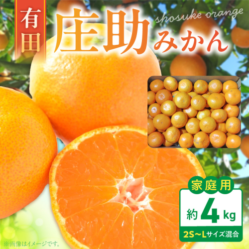 BK6011_【2026年先行予約】庄助みかん (家庭用・サイズ混合) 約4kg 2510057 - 和歌山県湯浅町