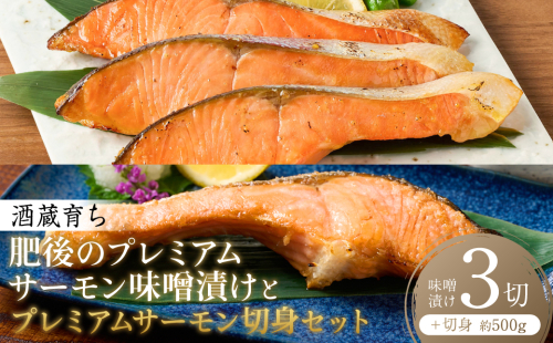 酒蔵育ち 肥後のプレミアムサーモン 味噌漬け 3切×1パック と プレミアムサーモン切身 約500g セット サーモントラウト 銀鮭 味噌漬け 赤酒 切身 切り身 和食 魚 おかず 熊本県 八代市 2510059 - 熊本県八代市