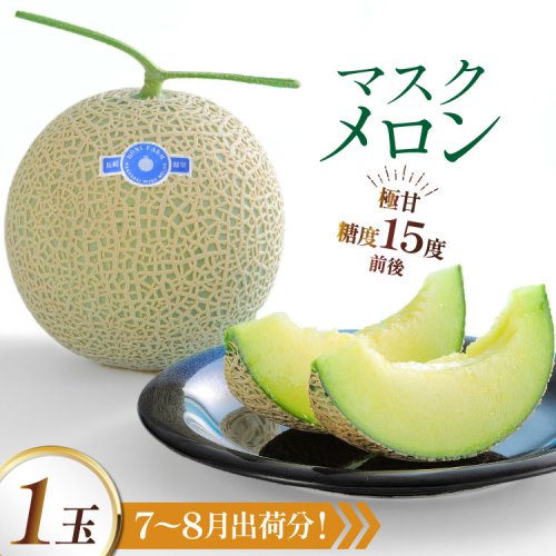 AJ650 【令和8年7-8月出荷分】 堀農園 マスクメロン 1玉 [ メロン めろん 青肉メロン 黄緑 果物 フルーツ おいしい 甘い 堀農園 長崎県 島原市 ] 2510073 - 長崎県島原市