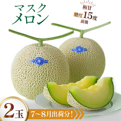 AJ651 【令和8年7-8月出荷分】 堀農園 マスクメロン 2玉 [ メロン めろん 青肉メロン 黄緑 果物 フルーツ おいしい 甘い 堀農園 長崎県 島原市 ] 2510074 - 長崎県島原市