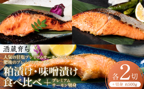 人気の甘塩プレミアムサーモン切身 約500g が入った 酒蔵育ち 肥後のプレミアムサーモン 食べ比べセット 粕漬け・味噌漬け 各2切入 サーモントラウト 銀鮭 酒粕漬け 酒粕 味噌漬け 赤酒 切身 切り身 和食 魚 おかず 熊本県 八代市 2510218 - 熊本県八代市
