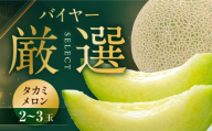 メロン【先行予約】【2026年6月中旬から順次発送】タカミメロン 2から3玉　愛媛県大洲市/西山青果 [AGAR022] メロン 甘い 濃厚 メロン めろん melon タカミ 貴味 青肉 果物 くだもの 旬 フルーツ 高級 デザート 2玉 3玉 先行予約 人気 夏果物 大洲市 ふるさと納税