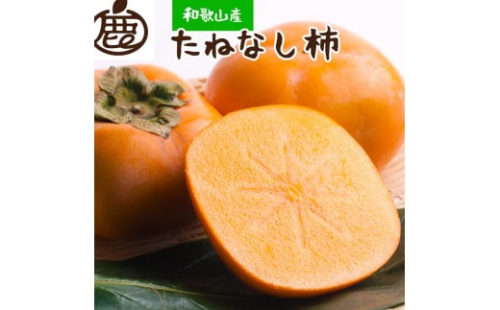 ＜10月より発送＞厳選たねなし柿7.5kg【刀根早生・平核無柿（ひらたねなしかき）】｜カキ・種無柿・種無し柿・種なし柿・無核柿 2510339 - 和歌山県美浜町