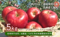 【先行予約】北海道七飯町産 りんご 5kg 除草剤不使用 減農薬 有機質肥料使用　