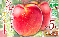 りんご シナノスイート 特秀 5kg 令和8年度収穫分 沖縄県への配送不可 2026年10月上旬頃から2026年10月中旬頃まで順次発送予定 宮本ファーム エコファーマー 減農薬栽培 長野県 飯綱町 [2091]