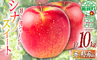 りんご シナノスイート 特秀 10kg 令和8年度収穫分 2026年10月上旬頃から2026年10月中旬頃まで順次発送予定 宮本ファーム エコファーマー 減農薬栽培 長野県 飯綱町 [2092]