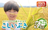 [先行予約]令和8年産 こしいぶき 5kg 新潟限定 越後の新しい息吹 コシヒカリ の遺伝子を引き継ぐ 米 おこめ お米 ご飯 ごはん オニギリ お弁当 kome 送料無料 数量限定 農家直送 産地直送 国産 川瀬農園 四代目 悠助 新潟 新発田 kwsKI001_202609
