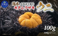 北海道室蘭産　塩水キタムラサキウニ （100g×1パック）【翌年（2026）/7～9月中順次発送】 【 ふるさと納税 人気 おすすめ ランキング ホタテ キタムラサキウニ むらさきうに うに ウニ 雲丹 塩水ウニ 塩水うに うに丼 海鮮 新鮮 北海道産 北海道 室蘭市 送料無料 】 MROBQ001