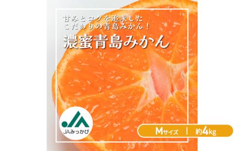JAみっかび 濃蜜青島みかん M 約4kg 青島 三ヶ日みかん みかん ミカン 蜜柑 ギフト 甘い 糖度 静岡 浜松市 2510795 - 静岡県浜松市