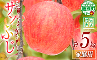 【 年明け発送 / 2027年1月発送 】 りんご サンふじ 家庭用 5kg 令和8年度収穫分 沖縄県への配送不可 2027年1月上旬頃から順次発送予定 宮本ファーム エコファーマー 減農薬栽培 ふじ フジ 傷 変形 サビ あり 長野県 飯綱町 [2093]