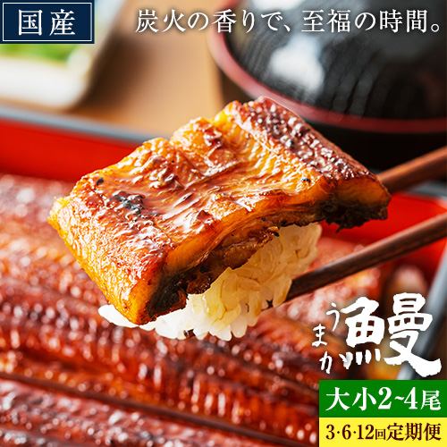 【選べる定期便】うなぎ 大小 2尾 4尾 3ヶ月定期便 6ヶ月定期便 12ヶ月定期便 国産 鰻 真空パック おすすめ うなぎの蒲焼 《お申込み翌月から出荷》 ふるさとのうぜい 特上 簡易包装 ウナギ unagi 蒲焼 秋 冬 旬 配送時期 冷凍 2510957 - 熊本県御船町