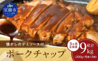 【3ヶ月定期便】カネカン竹内　ポークチャップ（懐かしの特製デミソース付）200g×15枚【 ふるさと納税 人気 おすすめ ランキング ポークチャップ 豚肉 豚 ポーク ケチャップ ポークソテー 国産 北海道産豚 濃厚 おかず お弁当 北海道 室蘭市 送料無料 】MROA129