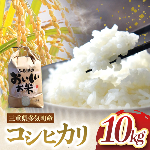 令和7年産 コシヒカリ 10kg こしひかり 米 精米 コメ FY-03-2025 2511193 - 三重県多気町