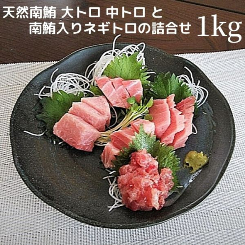 a25-026　天然 南鮪 大トロ 中トロ ネギトロ の 詰合せ約1kg 2511195 - 静岡県焼津市