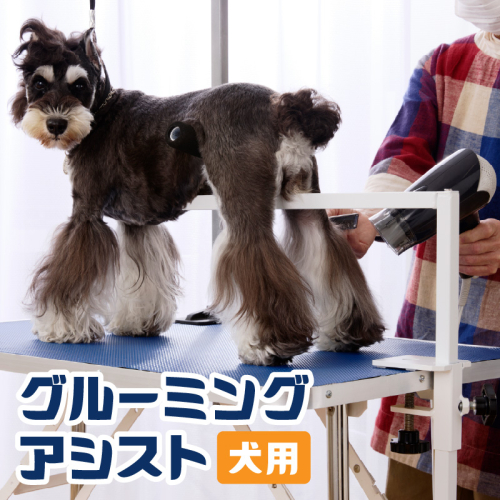 グルーミングアシスト(犬用)［199D01］ 2511196 - 愛知県小牧市