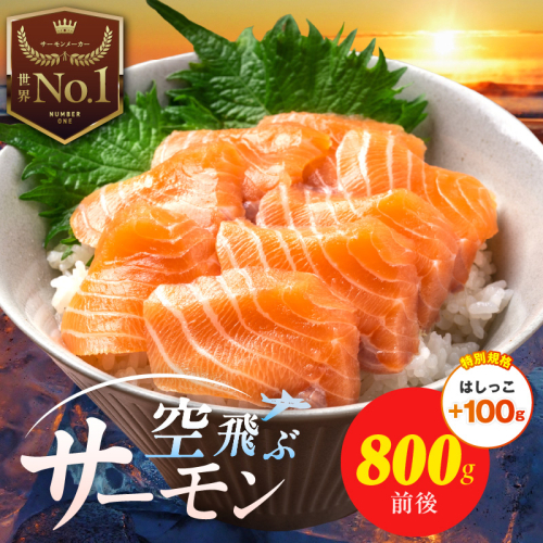 【特別規格】アトランティック サーモン 800g前後＋はしっこ100g【エコパック 小分け 訳あり サイズ不揃い 刺身 さーもん 冷凍 北国からの贈り物】 015B473-2 2511309 - 大阪府泉佐野市