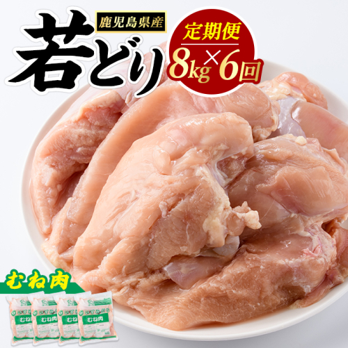 ＜定期便・全6回＞ 鹿児島県産 若鶏ムネ肉(計8kg・2kg×4袋) 鶏むね肉 小分け 鶏肉 むね肉 鶏肉 むね 【まつぼっくり】matu-1552 2511310 - 鹿児島県長島町