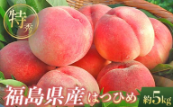 2026年先行予約 [冷蔵配送] 糖度11度以上 特秀 福島県産 はつひめ 約5kg 透過式光センサー選別 数量限定 期間限定 桃 もも モモ 果物 くだもの フルーツ F21C-455