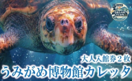 日和佐うみがめ博物館カレッタ 入館券 大人2名分 うみがめ ウミガメ 海亀 かめ カメ 亀 博物館 チケット 美波町 徳島県 ドリームチーム