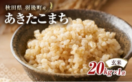 秋田県 羽後町産 あきたこまち 玄米 20kg×1袋 【 米 お米 アキタコマチ 美味しい 秋田 羽後 】