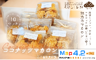 【外はカリッと中はしっとり】ココナッツマカロン 10個セット ／ チーズケーキ ケーキ スイーツ 焼き菓子 洋菓子 ギフト 贈り物 プレゼント  三重県 度会郡度会町