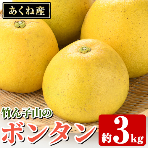 ＜先行予約受付中！2027年1月上旬以降順次発送予定＞竹ん子山のボンタン(約3kg) 国産 鹿児島県産 阿久根産 柑橘 果物 フルーツ ぼんたん 文旦 果実 期間限定 【竹ん子山】akn097-11 2512663 - 鹿児島県阿久根市