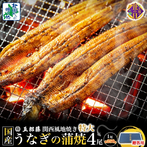 【7/26土用の丑の日】＜贈答用＞国産有頭旨鰻 250g×4尾 特大サイズ【関西風地焼き 老舗 五郎藤 うなぎ 1kg 小分け unagi ひつまぶし 簡単調理】 099H4345d 2512670 - 大阪府泉佐野市