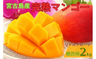 【贈答用】宮古島産マンゴー2kg ＜リトルグローブ＞（LT002）