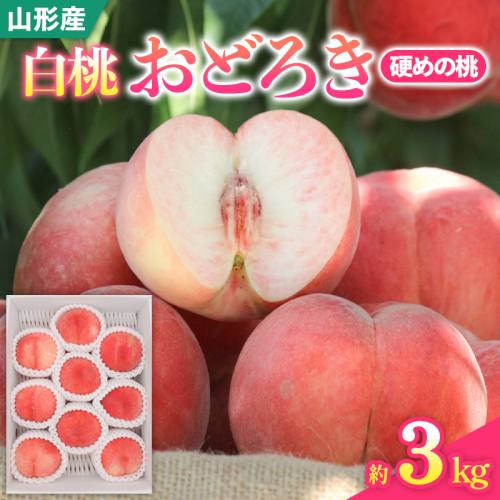山形県産白桃おどろき 約3kg[硬めの桃]【令和8年産先行予約】FS25-150 2513078 - 山形県山形市