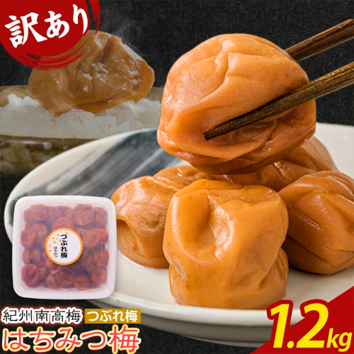 南高梅 はちみつ 梅 紀州南高梅 つぶれ 梅干し 約1.2kg 有限会社プラム《30日以内に出荷予定(土日祝除く)》和歌山県 日高町 送料無料 梅 うめ ウメ 南高梅 つぶれ梅 蜂蜜 紀州 2513145 - 和歌山県日高町