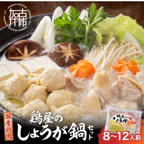 鶏しょうが鍋セット《 鍋 なべ 鍋セット 鶏肉 生姜 ショウガ 》【2401I16009】 2513147 - 兵庫県加古川市