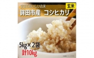 安定のおいしさ　鉾田市産コシヒカリ　玄米　計10kg（5kg×2）