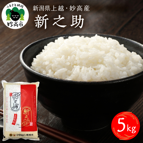 令和7年産 新潟県上越妙高産 新之助 5kg【順次発送】 2513669 - 新潟県妙高市