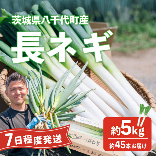長ネギ 約5kg 約45本 茨城県産 八千代町産 野菜 農家直送 化成肥料不使用 有機肥料100% ねぎ 長ねぎ ネギ 旨味 認定農業者 9000円 [DJ003ya] 2513673 - 茨城県八千代町